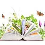 Counselling Strategies
